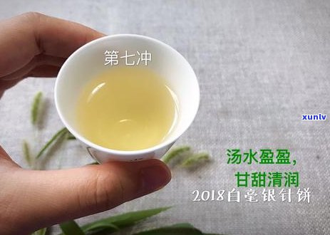 品味涓嶅茶香：探究好茶的口感魅力