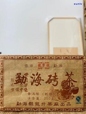 探索普洱茶的世界：一份全面指南，从入门到精通