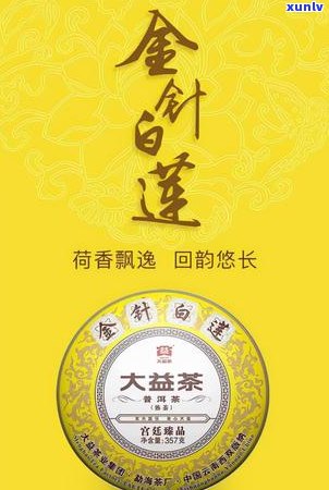 探索普洱茶的世界：一份全面指南，从入门到精通