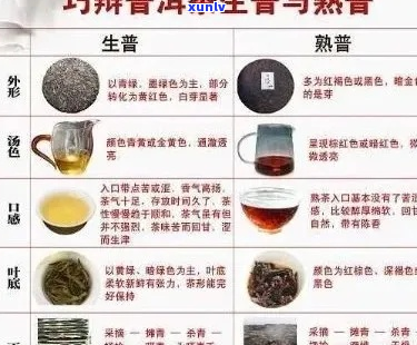 布朗茶与班章茶的比较：品种、产地、口感、香气和功效的详尽解析