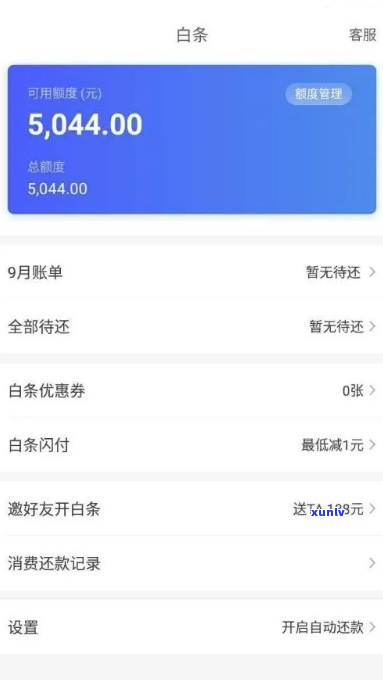 1300块白条逾期怎么办-1300块白条逾期怎么办啊