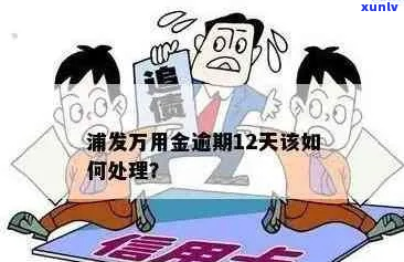 浦发万用金逾期6年不还-浦发万用金逾期6年不还会怎样