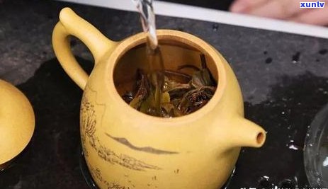 普洱茶发霉了还能泡吗？如何处理受潮的普洱茶？