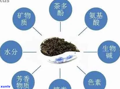 普洱茶纤维素的功效是什么？