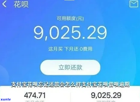 蚂蚁花呗逾期1300怎么处理-蚂蚁花呗逾期1300怎么处理的