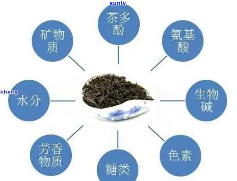 普洱茶的营养成分及其健益处