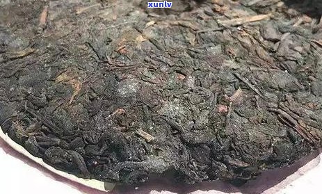 普洱茶发霉是什么样子？普洱茶发霉还能喝吗？处理 *** 有哪些？