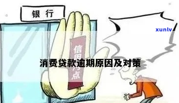 信用消费贷逾期还款怎么办是什么-信用消费贷逾期还款怎么办是什么意思