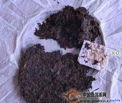 新如何安全地挖掘普洱茶，避免破碎与损失？