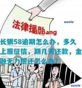 长银58金融逾期怎么办-长银58金融逾期怎么办理