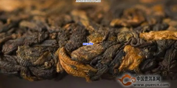 普洱茶仓味能醒吗？如何去除普洱茶仓味？普洱茶仓味为何有害？