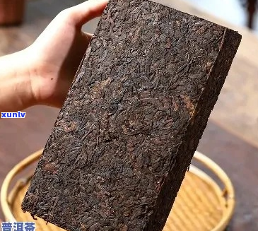 '普洱茶金砖生茶熟茶区别：哪不同？大吗？是生茶还是熟茶？'