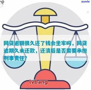 网贷逾期要坐牢不还怎么办如何解决-网贷逾期要坐牢不还怎么办如何解决呢