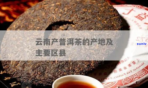 云南普洱茶的产地及其特点