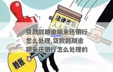 银行贷款逾期了还不上怎么办-银行贷款逾期如何补救