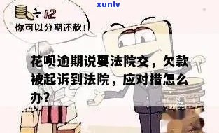 花呗逾期被起诉后会怎样处理-花呗逾期被起诉后会怎样处理呢