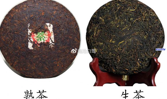 生茶与熟茶：从 *** 工艺到口感的对比分析