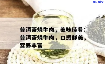 探究牛腩与普洱茶结合的独特功效：健、美味与消脂