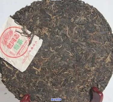 老同志普洱熟茶哪个 - 寻找优质普洱茶系列推荐