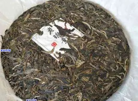 班章茶香浓，回味悠长的正宗老普洱茶体验