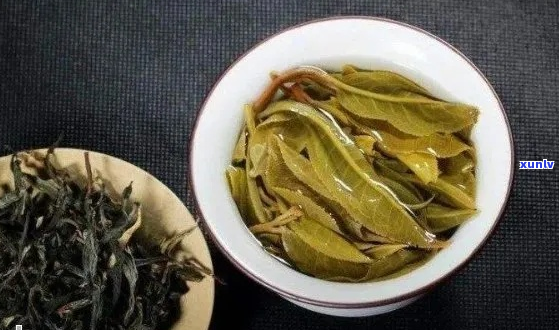 兰花香中品味普洱茶的独特韵味