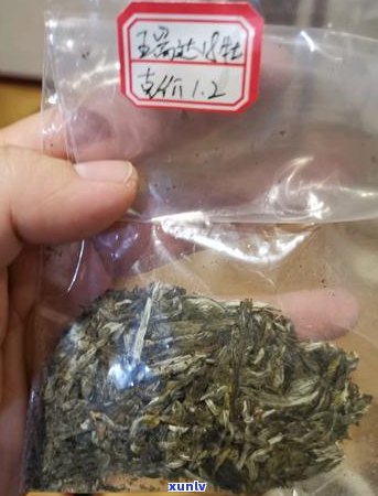 探究普洱茶水毛现象：成分、原因与品质影响