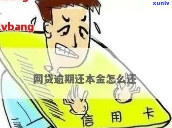 网贷逾期可减免本金吗如何处理-网贷逾期可减免本金吗如何处理呢