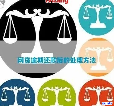 网贷逾期后如何全部还清-网贷逾期后如何全部还清借款