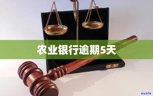 农业银行逾期过一次-农业银行逾期过一次会怎么样