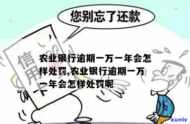 农业银行逾期过一次-农业银行逾期过一次会怎么样