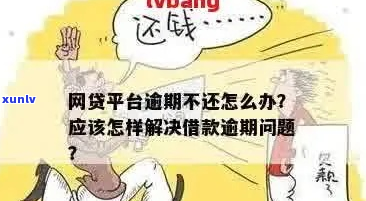 欠了网贷应该如何处理-欠了网贷不还会怎么样