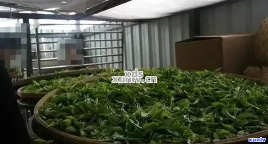 云南省永年普洱茶厂-云南省永年普洱茶厂官网