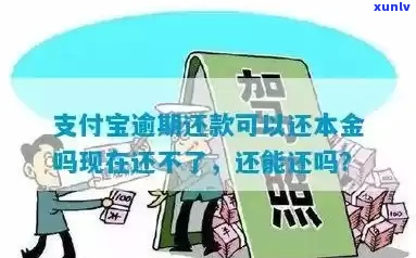 支付宝逾期协商本金处理方式及流程-支付宝逾期协商还本金