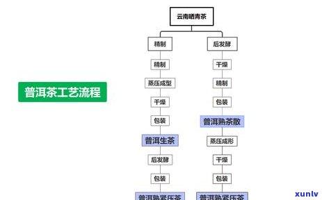 普洱茶生普与熟普：如何辨别？