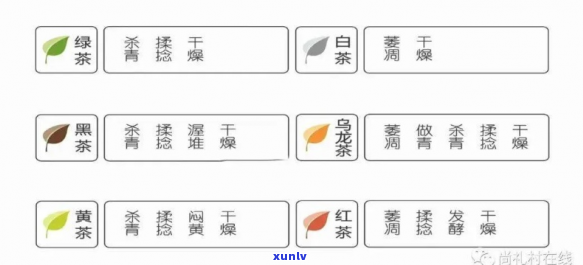 茶的6大分类：种类、特点、代表茶叶，一文详解。