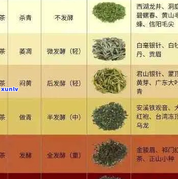 深入了解茶叶：六大茶类的分类 *** 、特点及代表性茶叶详解