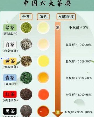 全面解析茶的六大分类及其独特特点：从品种、 *** 工艺到口感的一次详览