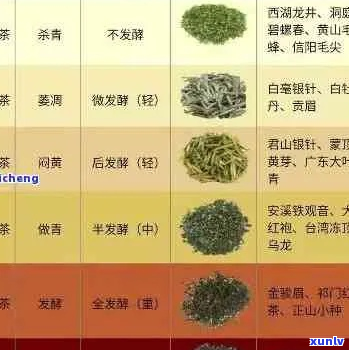 茶的分类及代表名茶：绿、红、乌龙、黑茶、白茶、黄茶。