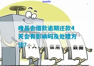 唯品会金融欠款人无力偿还怎么办-唯品会金融欠款人无力偿还怎么办呢