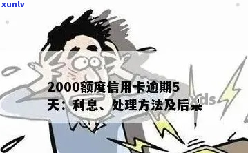 2000信用卡逾期6年如何处理-2000信用卡逾期6年如何处理好