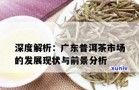 广州芳村地区普洱茶行业现状分析与未来发展趋势报告