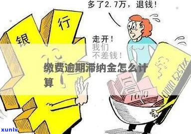 451逾期滞纳金一天多少钱-逾期滞纳金更高是多少