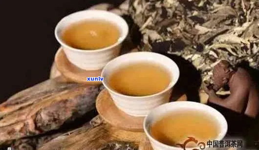 探索普洱茶的神奇美容力量：四大独特功效与作用详解