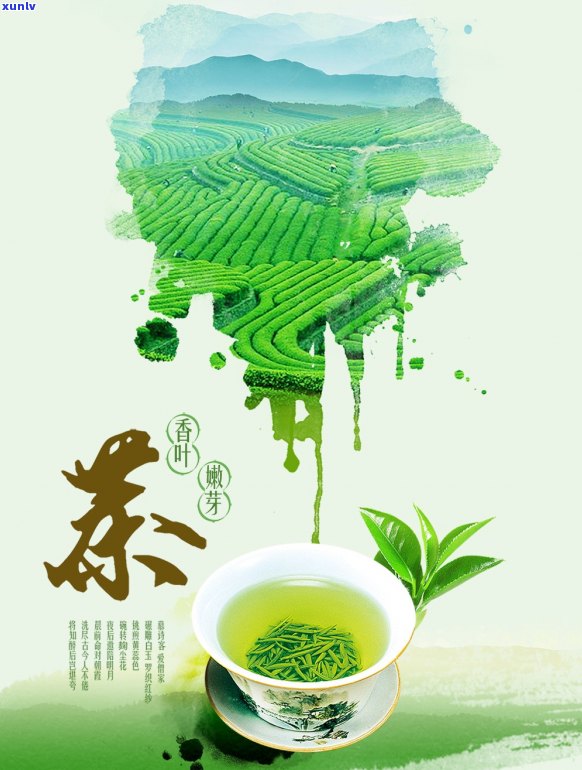 全球茶叶种类一览：从传统到现代，探索世界茶文化