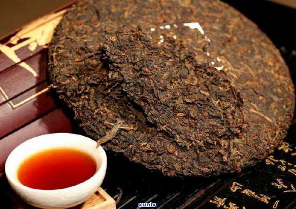 普洱茶20年价格差异解析：不同年份普洱茶的市场表现与价值比较