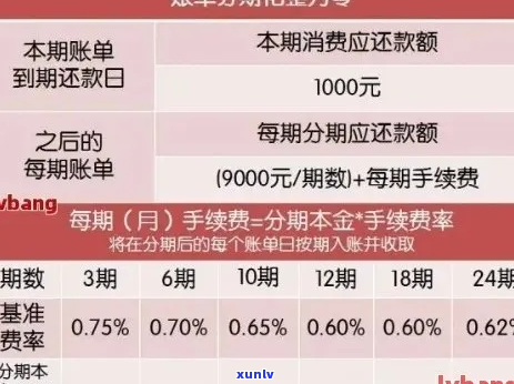 协商还款仅还利息怎么操作-协商只还本金是什么意思