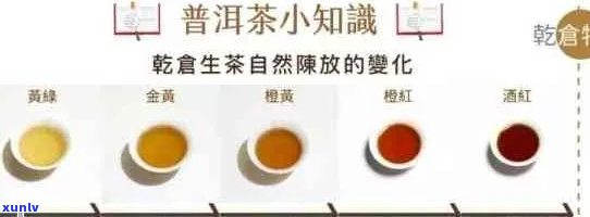 普洱茶转化率是什么？如何计算？