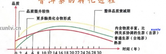 普洱茶转化率是什么？如何计算？