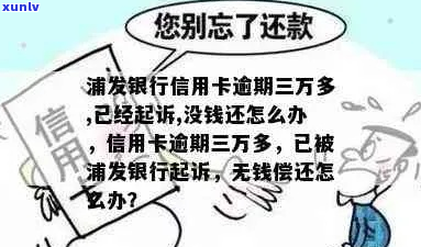 浦发信用卡欠了3万右怎么办-欠浦发银行信用卡3万没钱还该怎么办