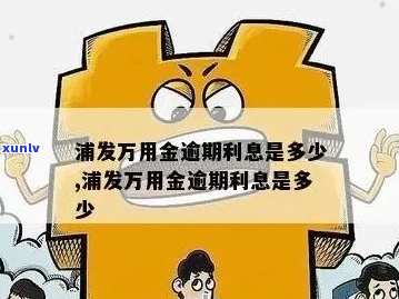 欠浦发万用金三十几万怎么办-欠浦发万用金三十几万怎么办理